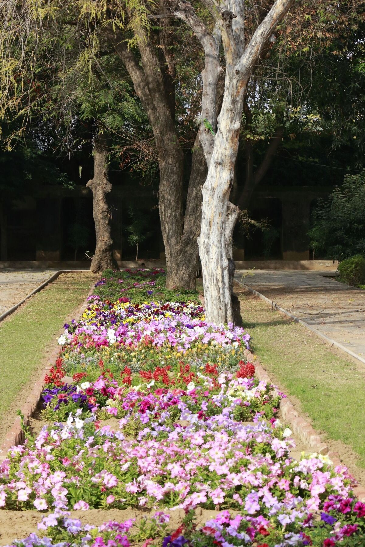 Samode Bagh Hotel Exterior photo